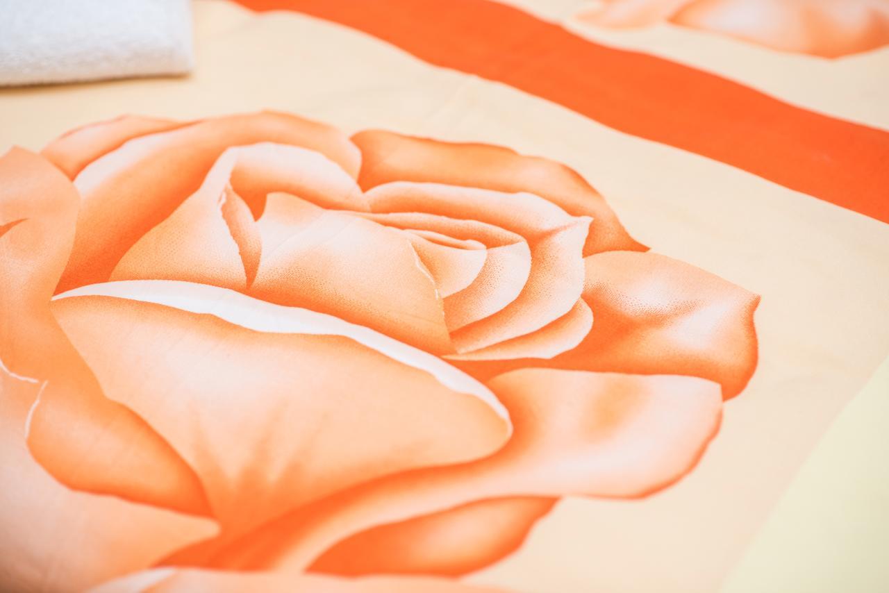 Apartment Gaestehaus Rose *